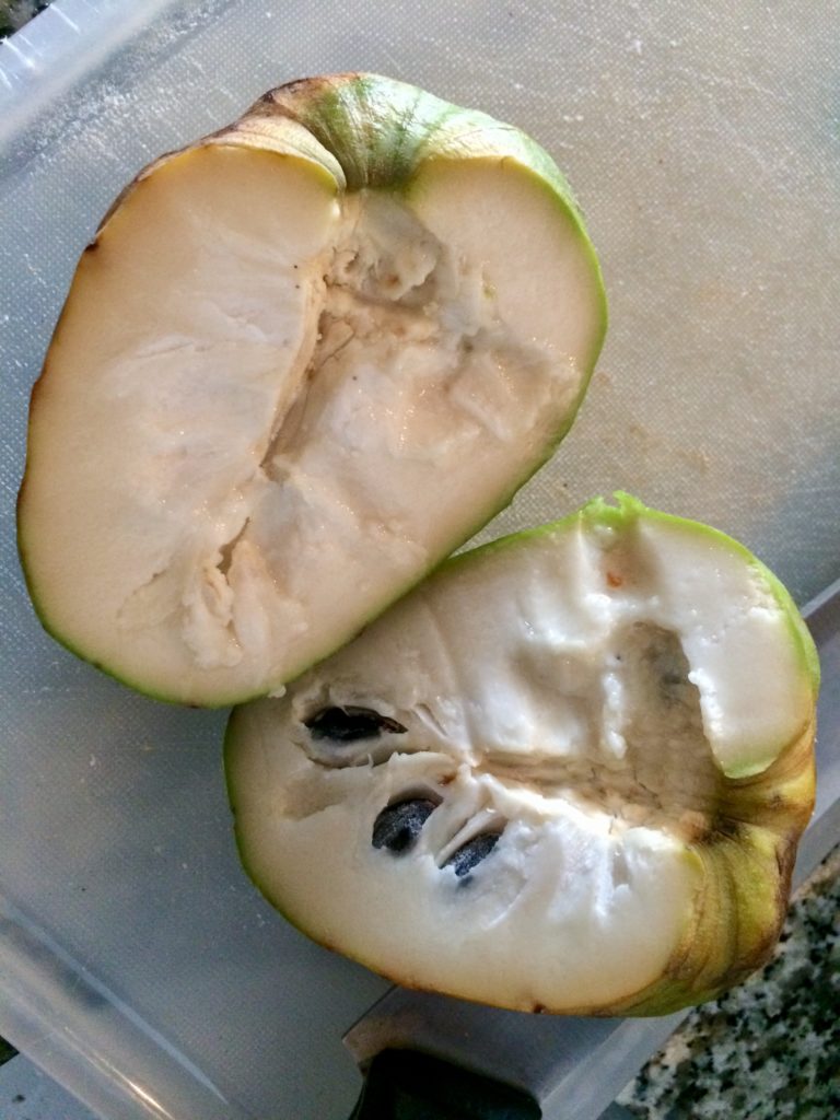 Cherimoya